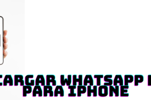 descargar whatsapp plus iphone