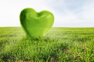 Qué significa el corazón verde de WhatsApp